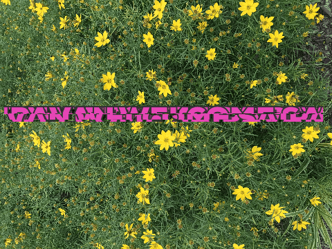 giphy (1).gif