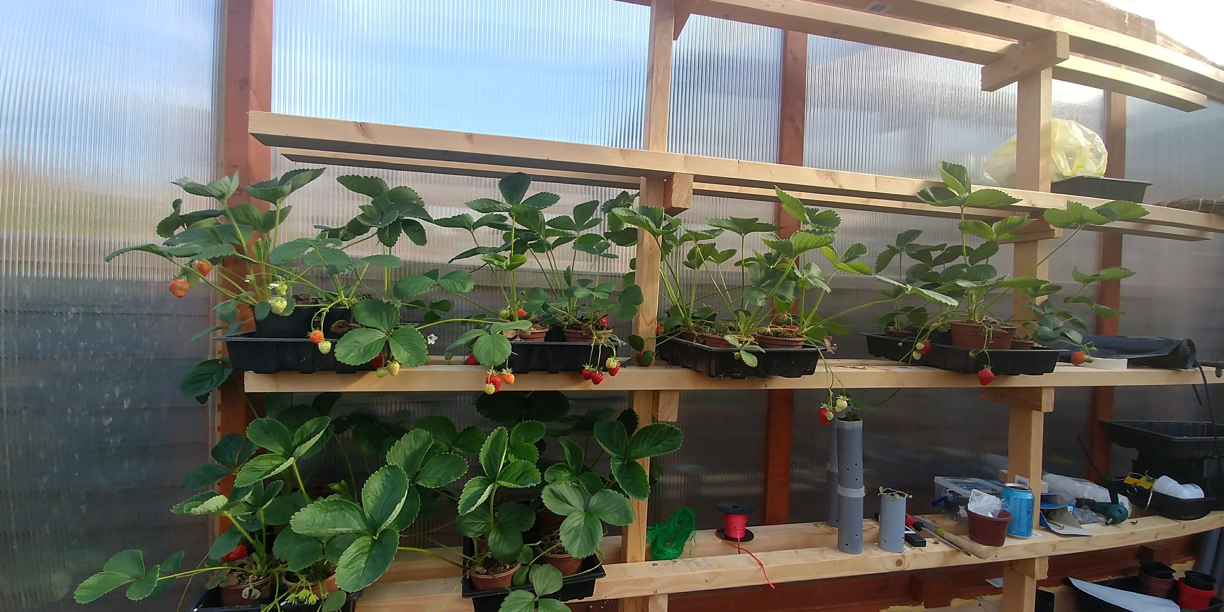 20180522_081401_HDR.jpg