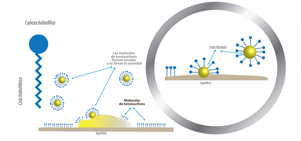 esquema-tensioactivo.jpg