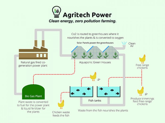 agritech-flowchart-700x525.jpg