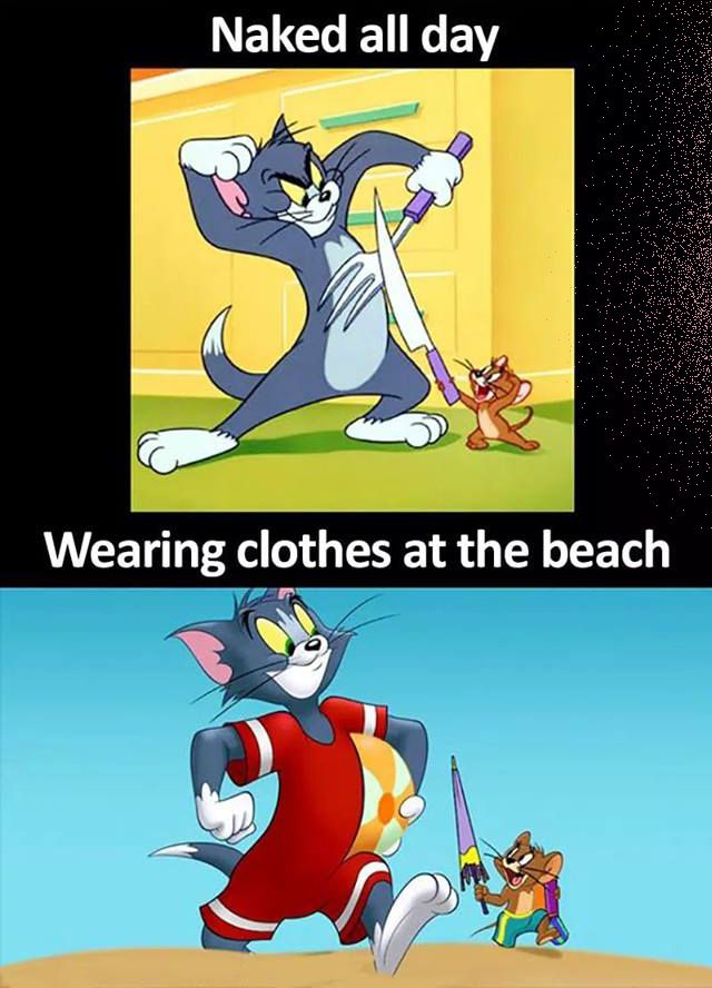 Tom and jerry logic.jpg