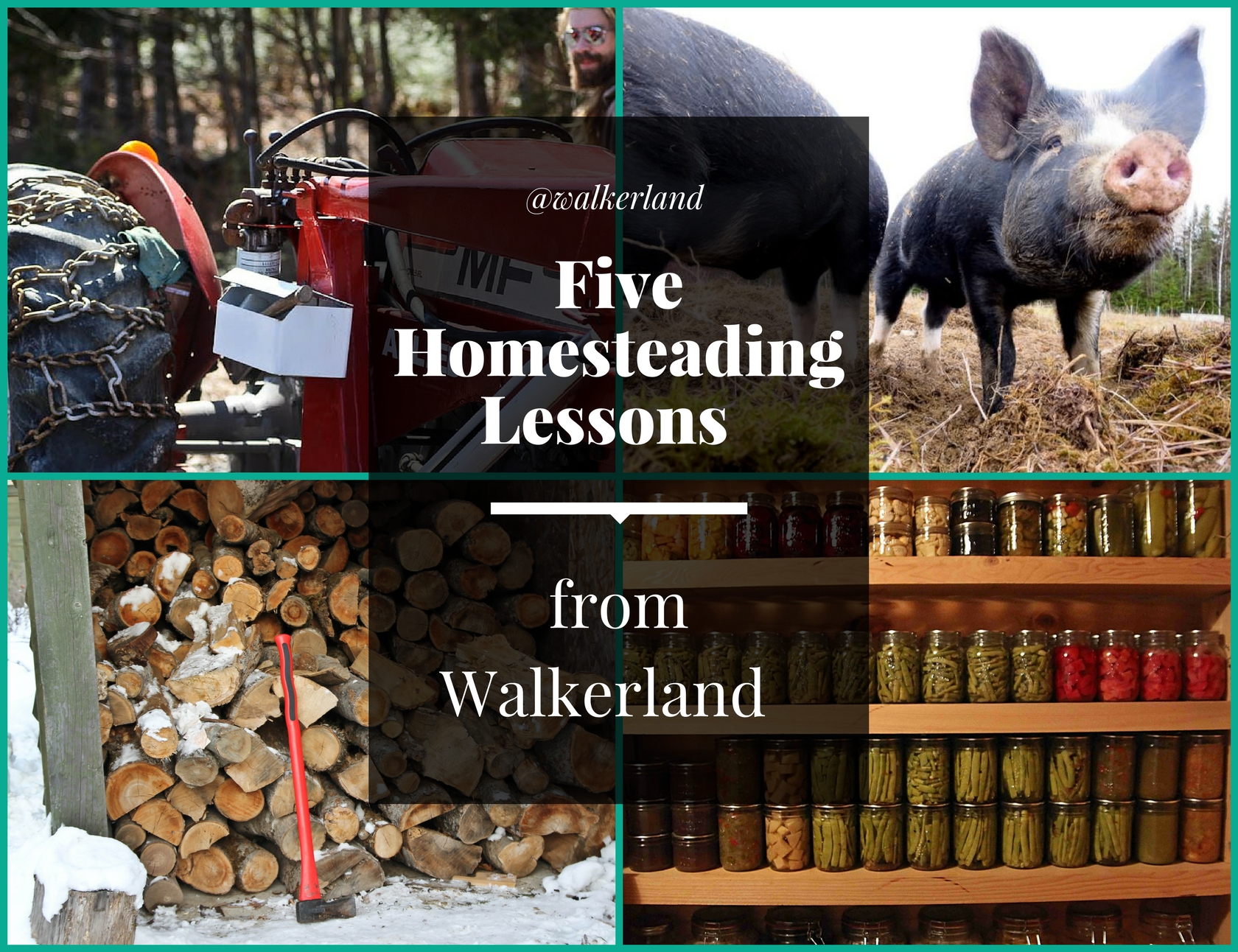 five homestead lessons.jpg