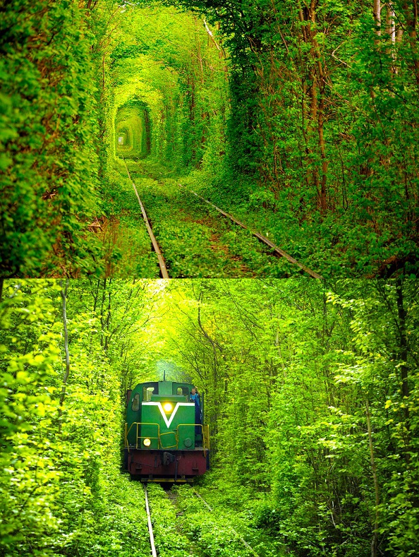 The-Natural-Train-Tunnel-The-Love-Tunnel-Ukraine.jpg