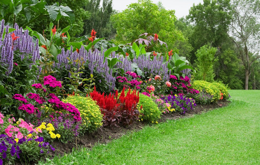 organic-flower-garden-budget-main_1000.jpg