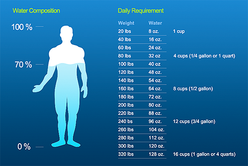 Bodies Of Water Chart