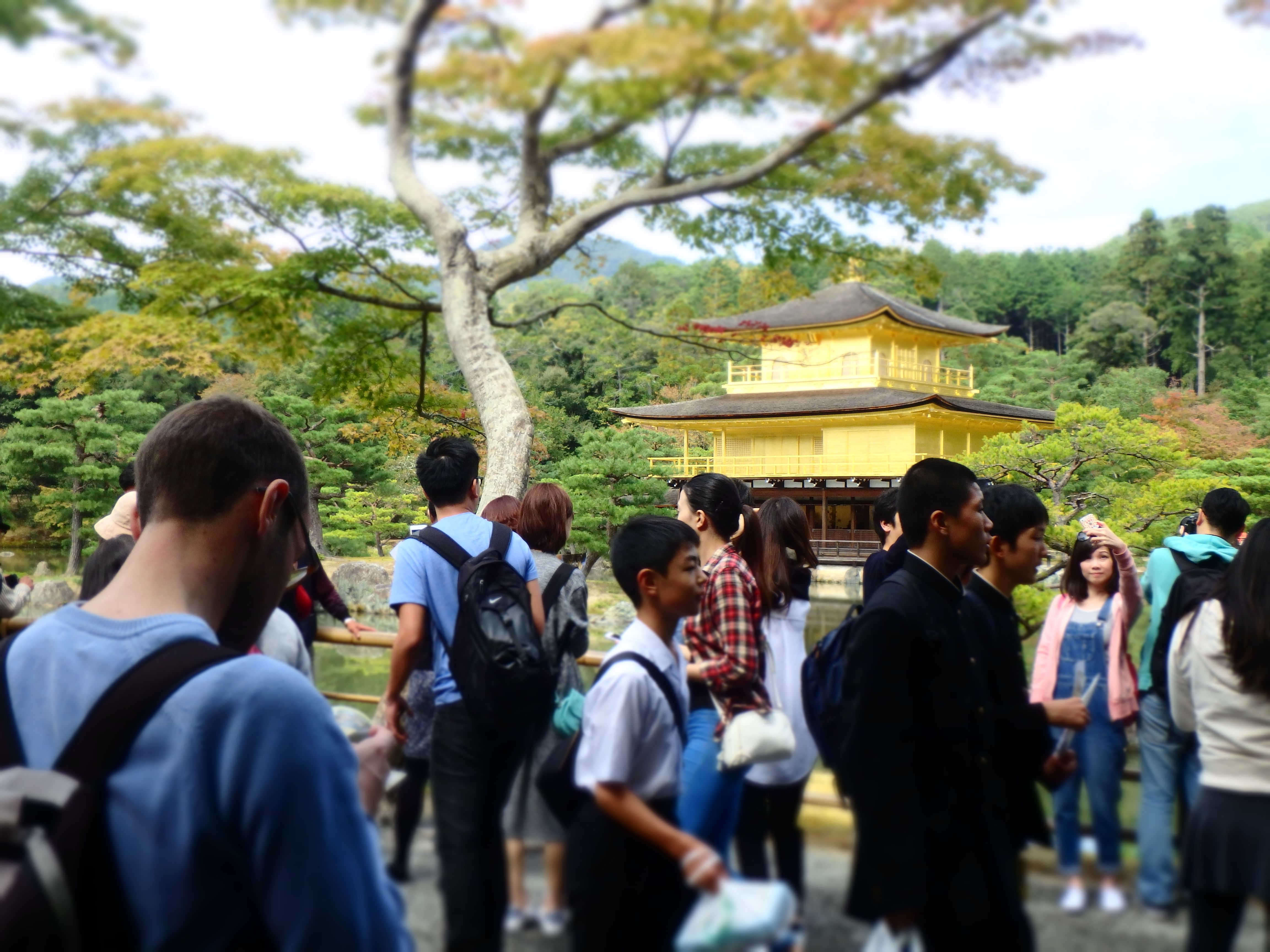 Kinkaku-ji - 2.JPG