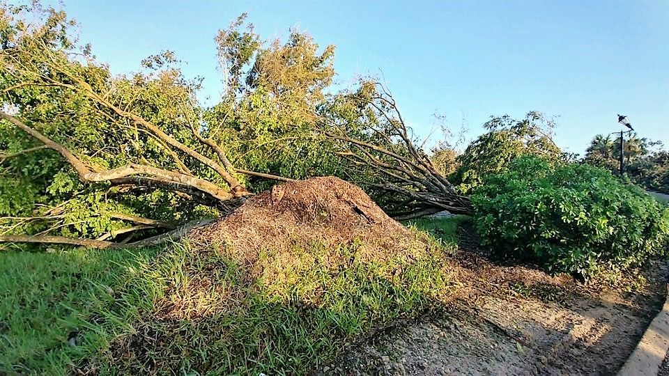 irma2.JPG