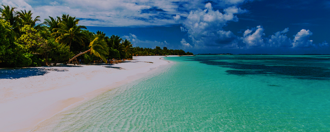 ST_Maldives_Cropped-650x260~2.png