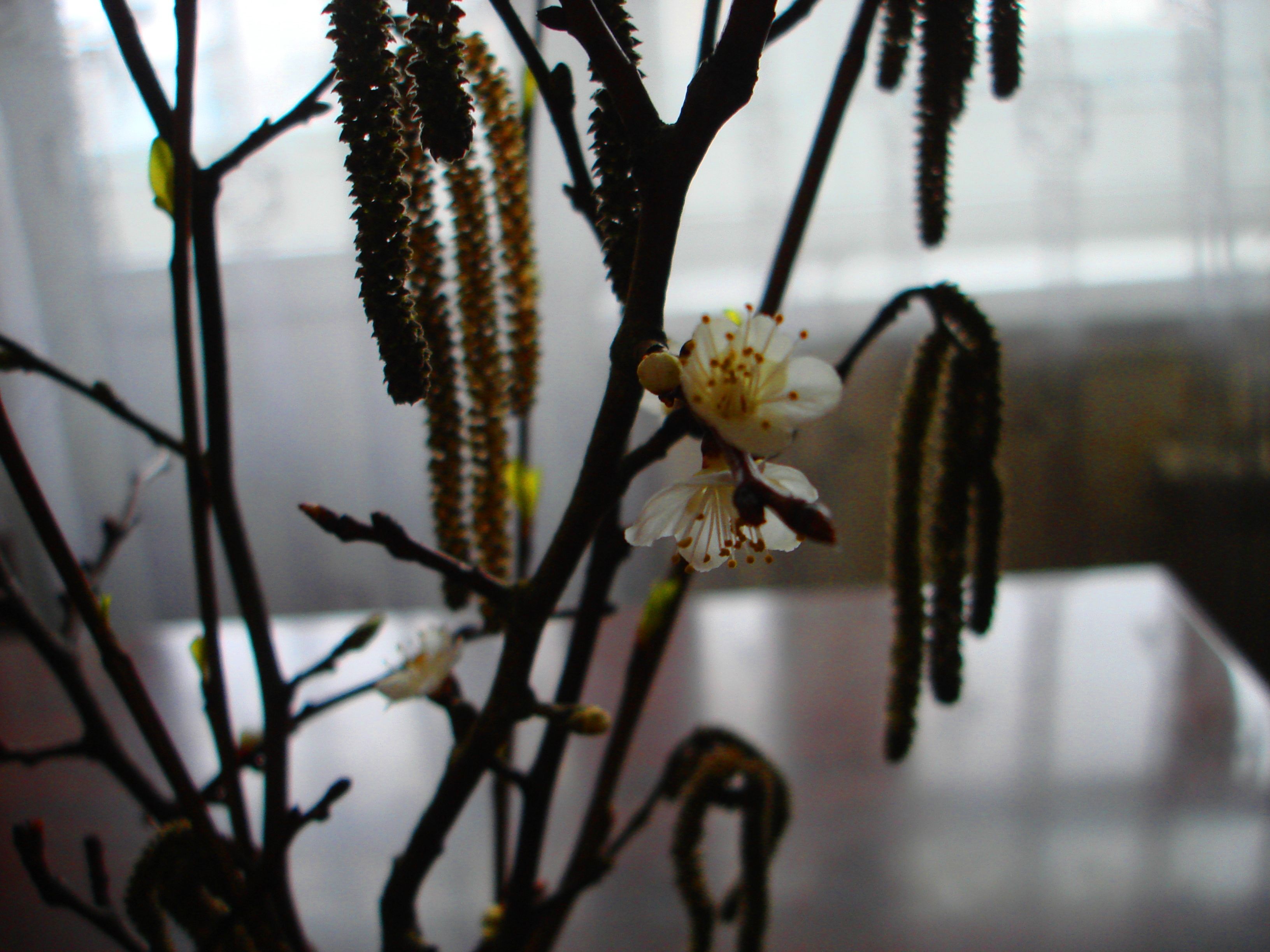 DSC02394-2222222222.jpg