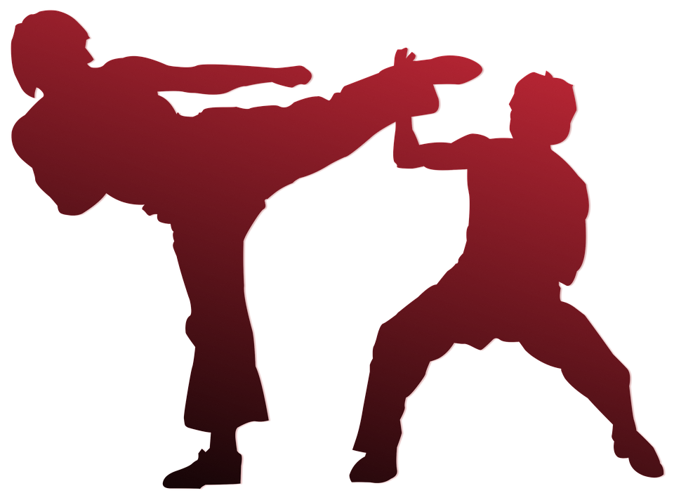 karate-971341_960_720.png