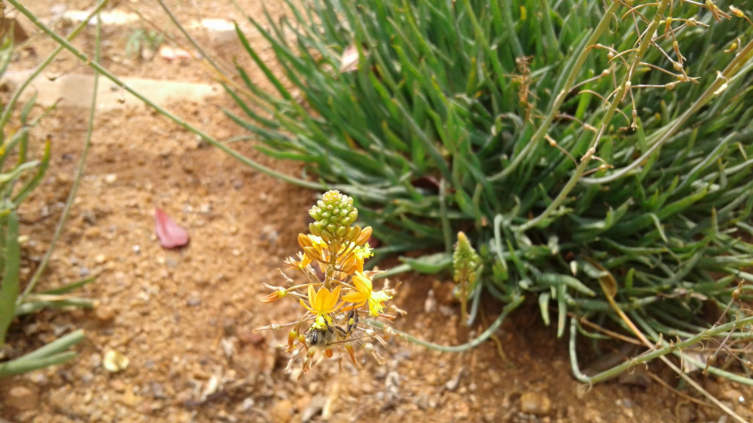 20180311_125032.jpg