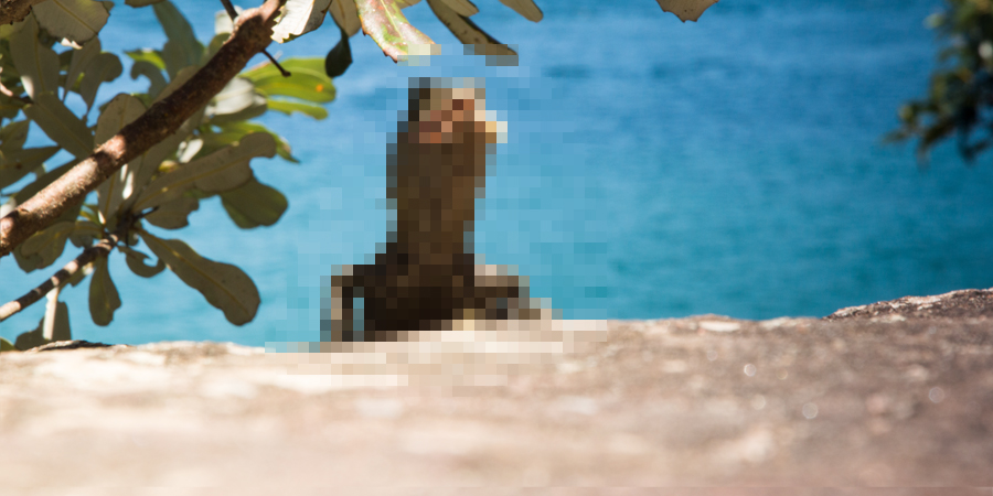 pixel-challenge_sydney_2.jpg