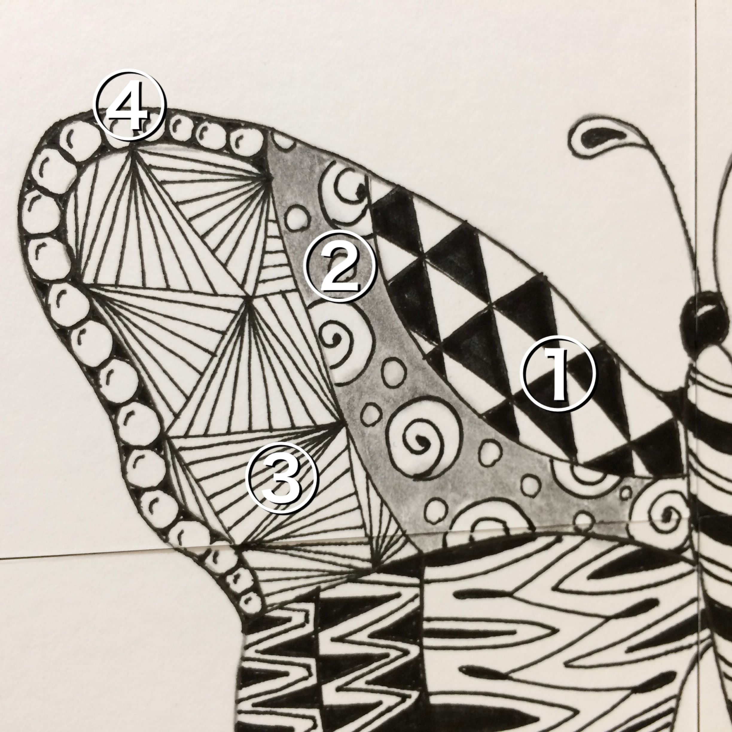 In Minutes Let S Draw Pattern Art カレイドラインズパターンアートを描こう 蝶々その２ Steemit