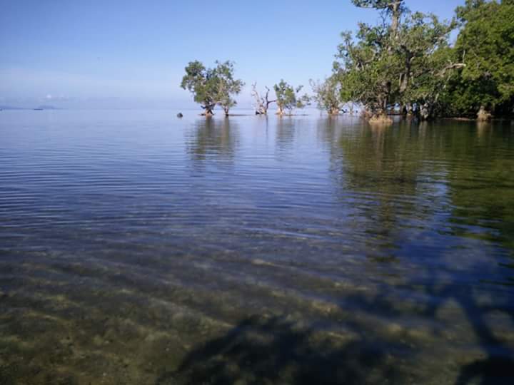 jie28 landscape (1).jpg