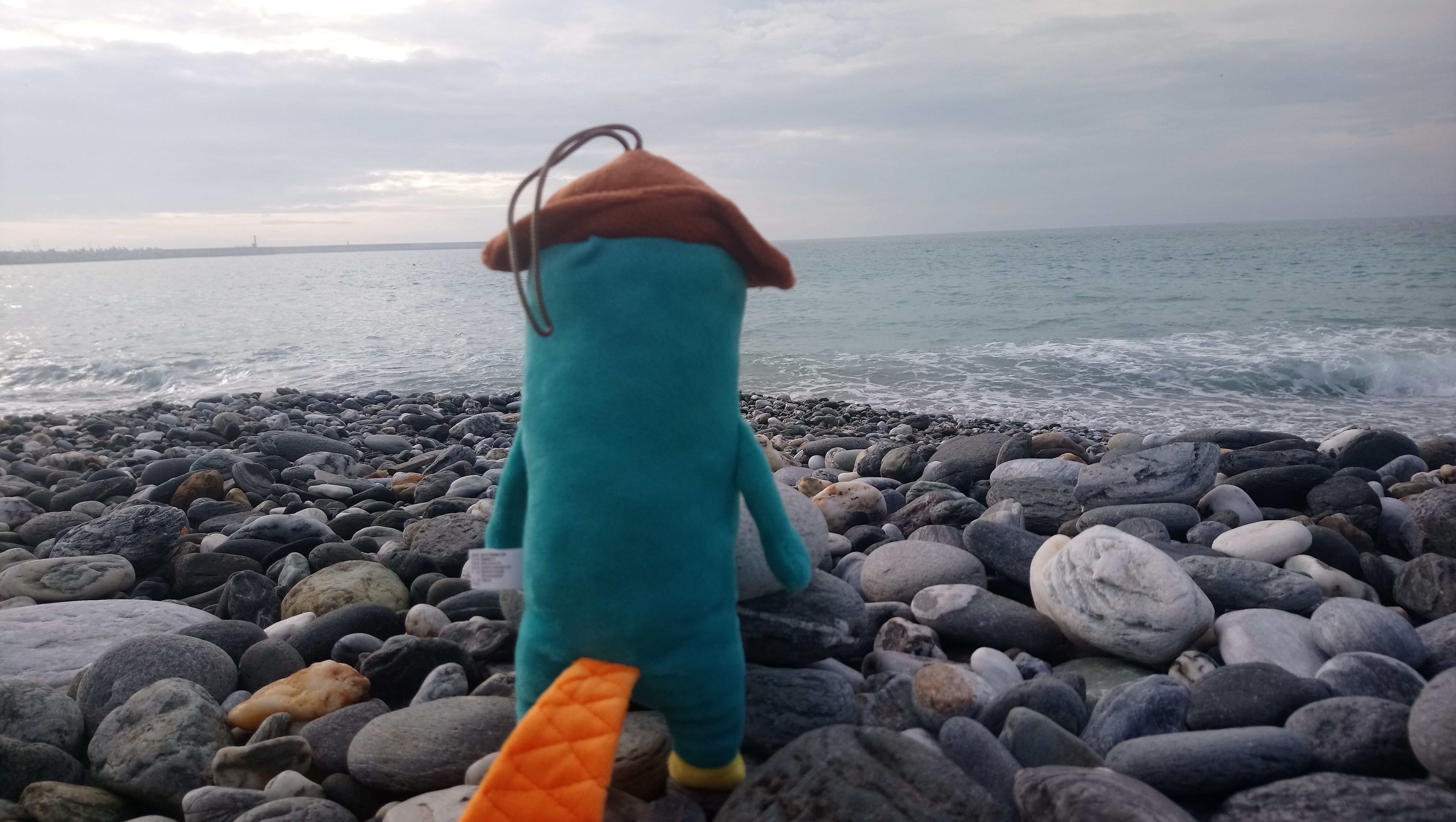 👣 Follow Perry the Platypus to experience and live in Hualien Taiwan! 👣
