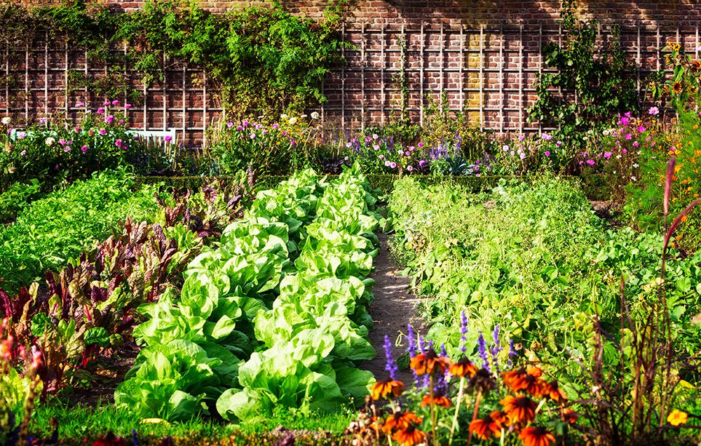 stylish-beautiful-veggie-gardens-plan-a-beautiful-vegetable-garden.jpg