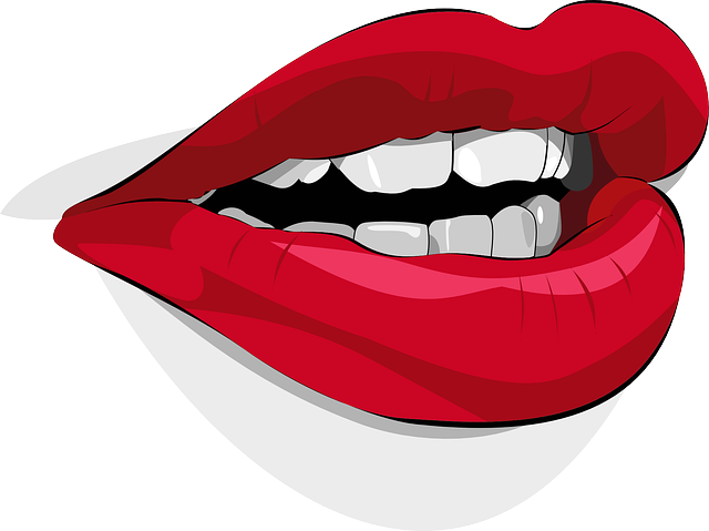 lips-35616_640.png