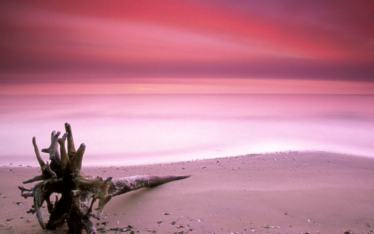 Pink-Sand-Harbour-island.jpg