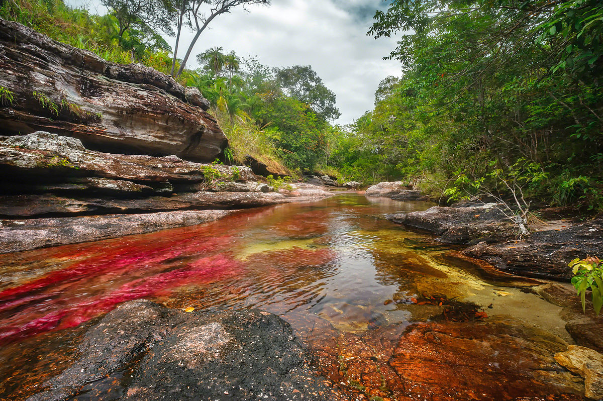 CAÑO_CRISTALES.jpg