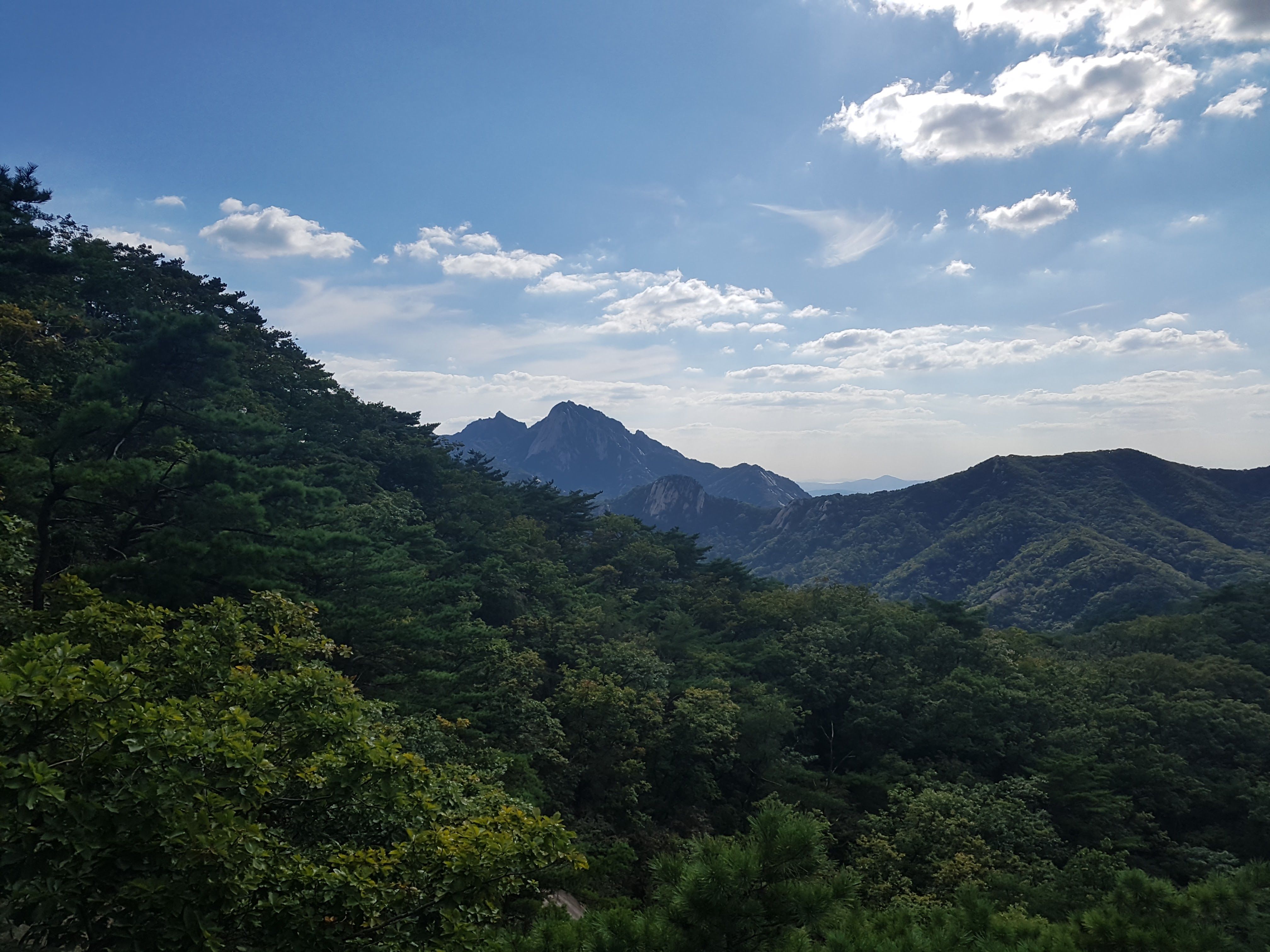 20170915_154356.jpg