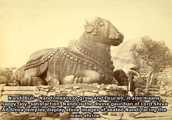 Nandi.jpg