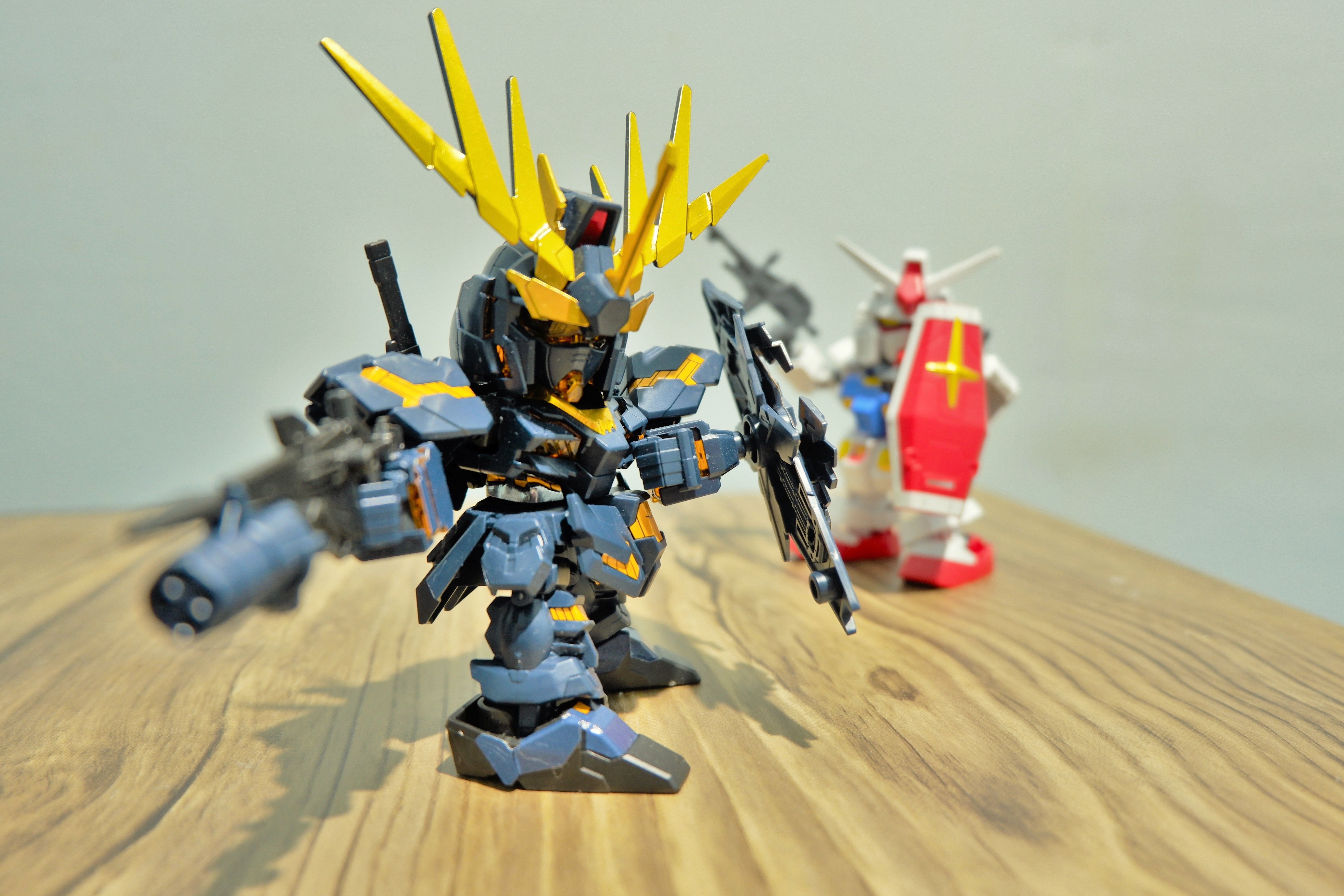 DSCF0995.JPG