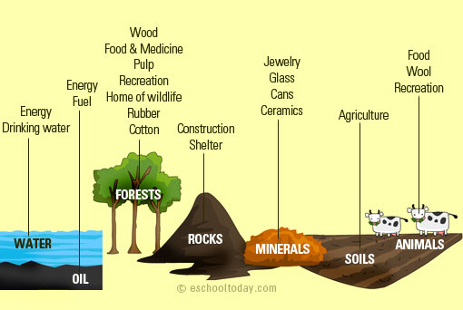 where-do-raw-materials-come-from.jpg