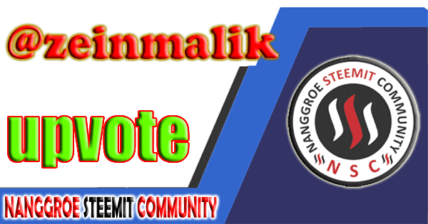 nsc-gif-zeinmalik.gif
