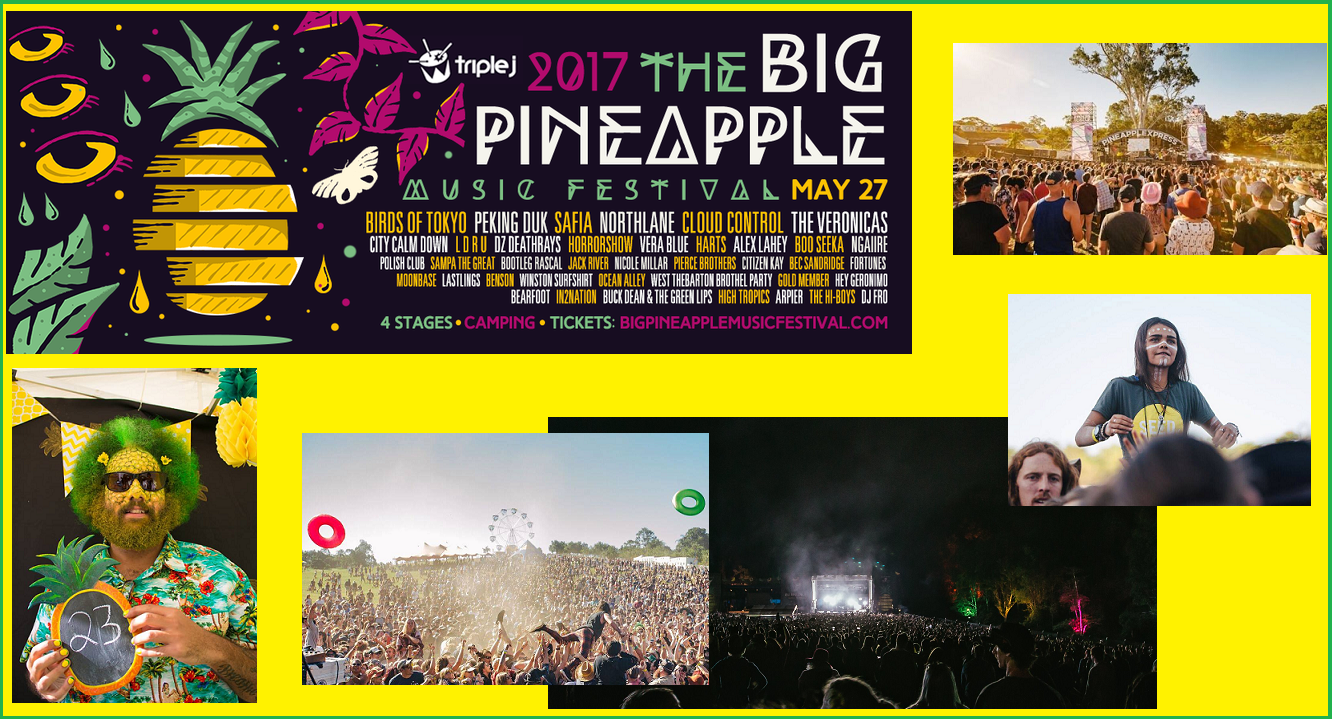 Big-Pineapple-Music-Festival-2017.png