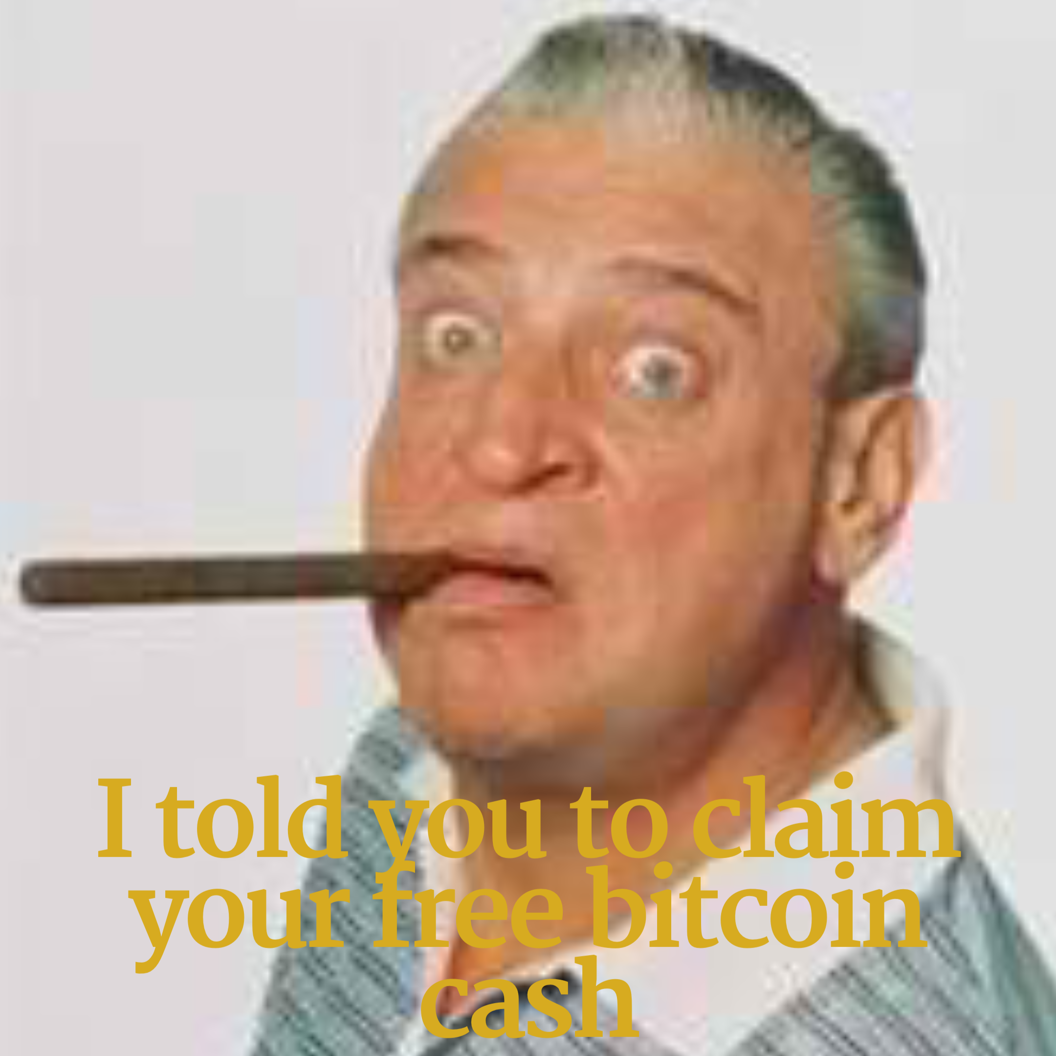 Bitcoin cash owner