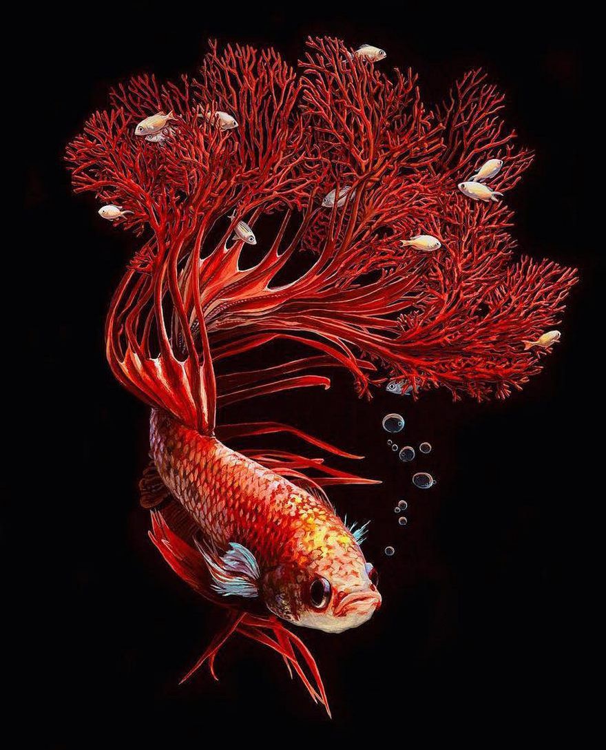 surreal-fish-art-lisa-ericson-9-5859010bbcff4__880.jpg