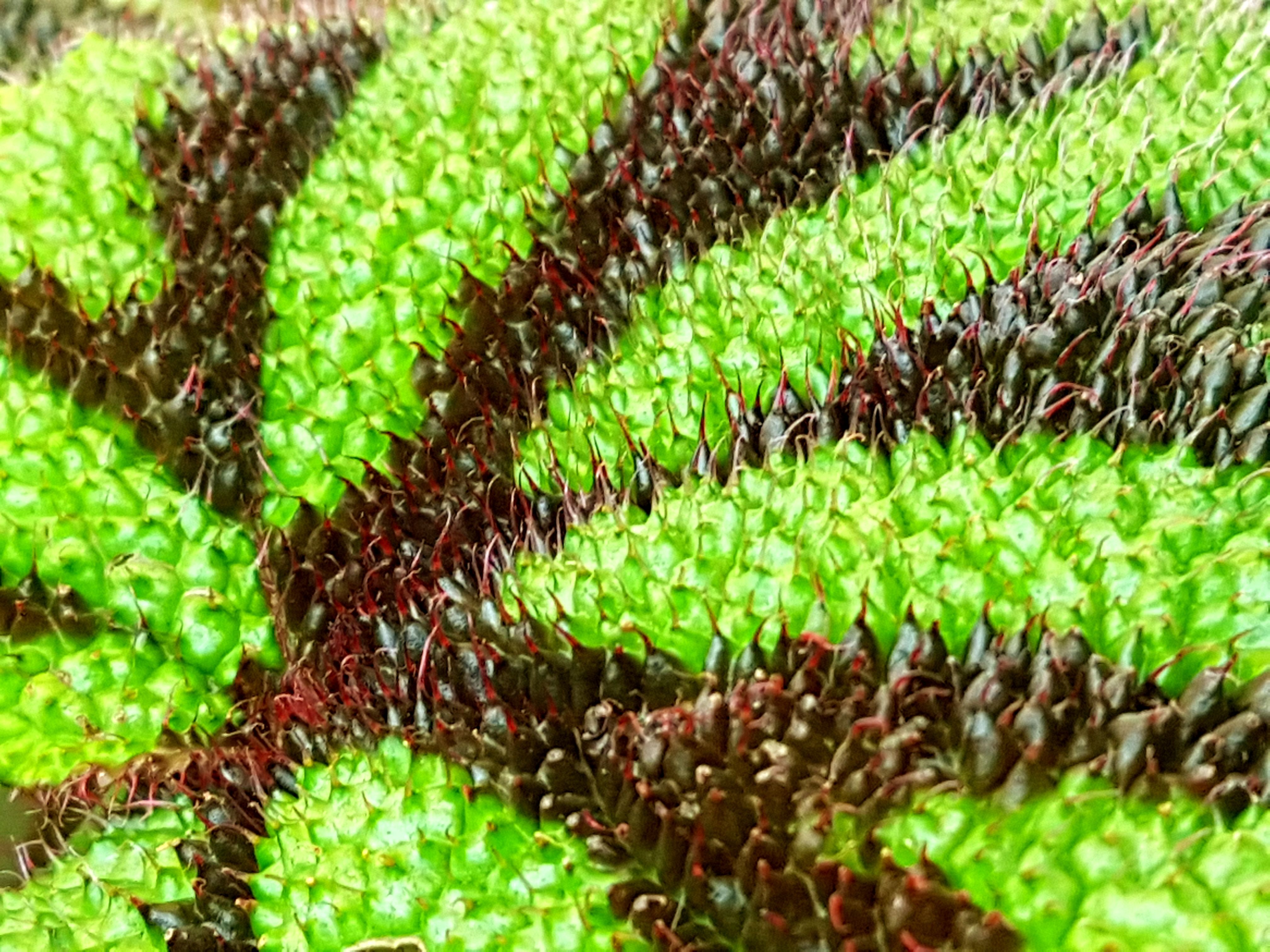 20180420_142101.jpg