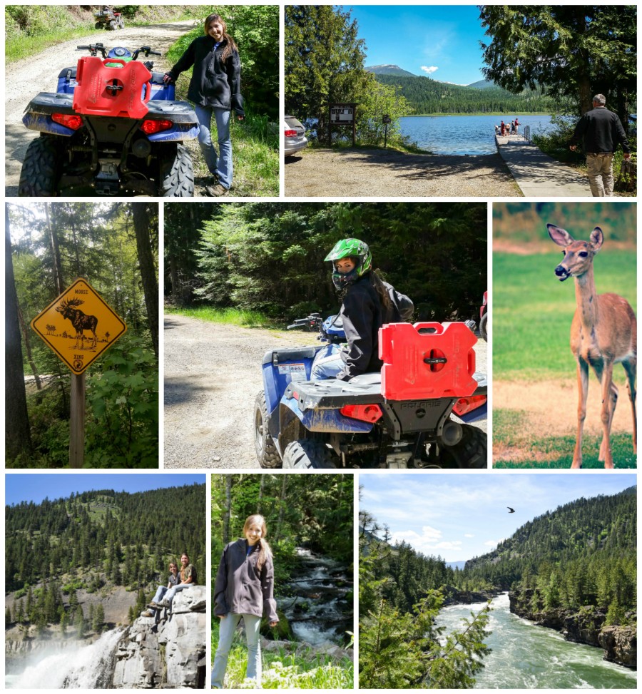 Idaho Steem Collage.jpg