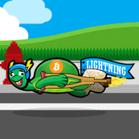 lightning-turtle-sm.gif