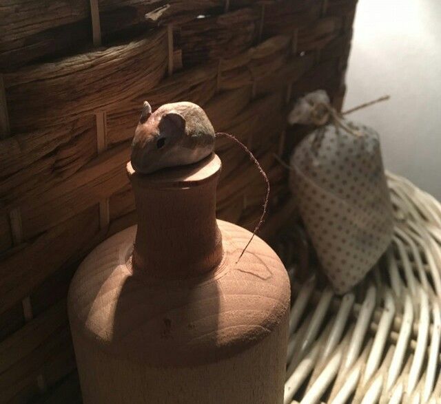 _20180219_194026.JPG