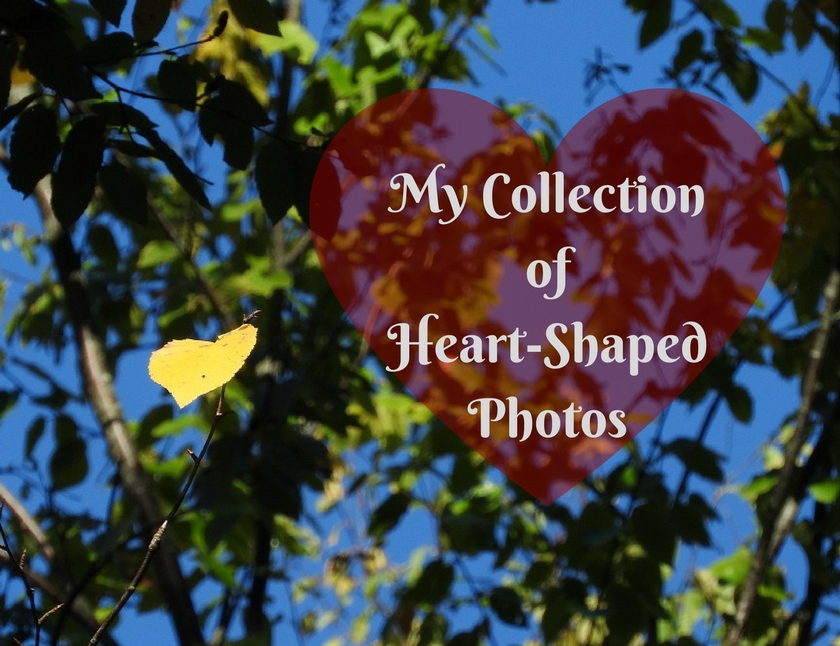 My Collection of Heart-Shaped Photos.jpg