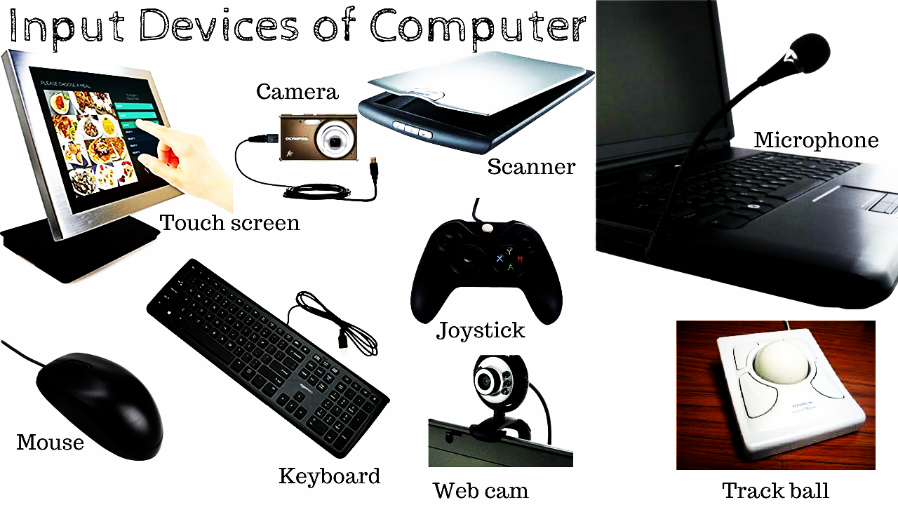 examples of Input Devices of Computer.png