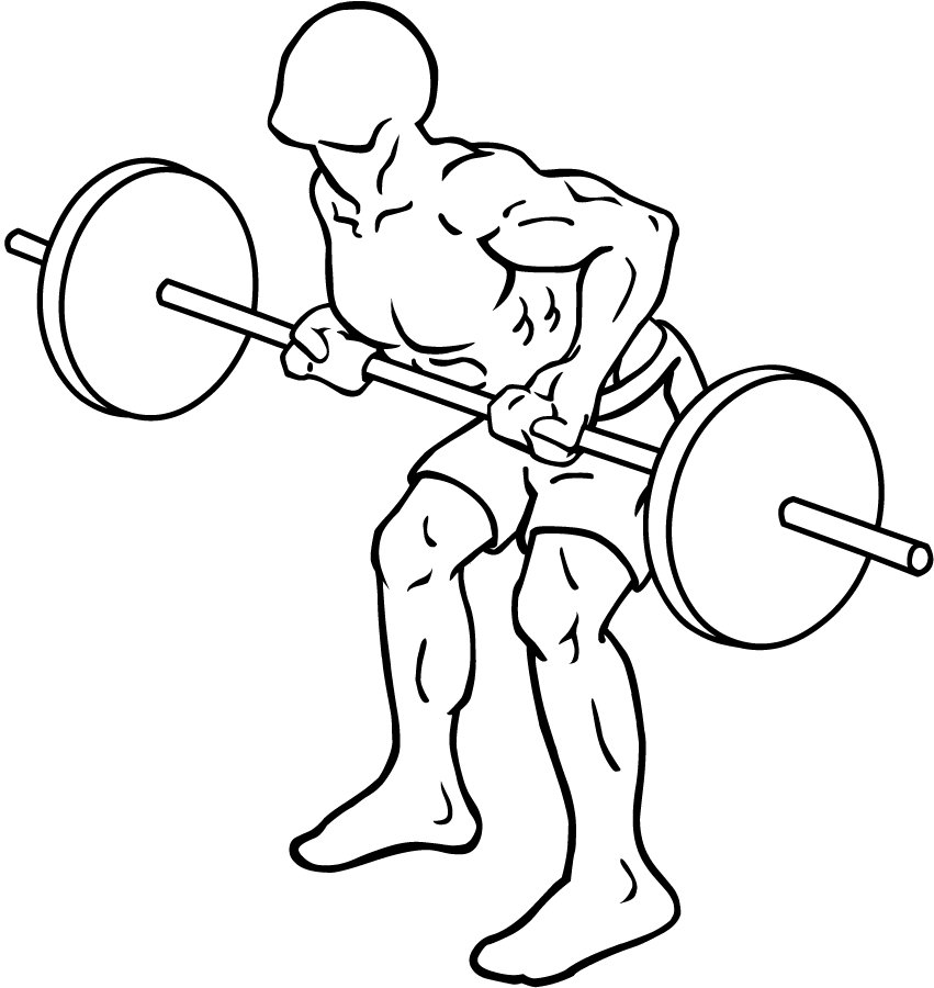 Complete Back Workout To Hit Every Muscle — Steemit