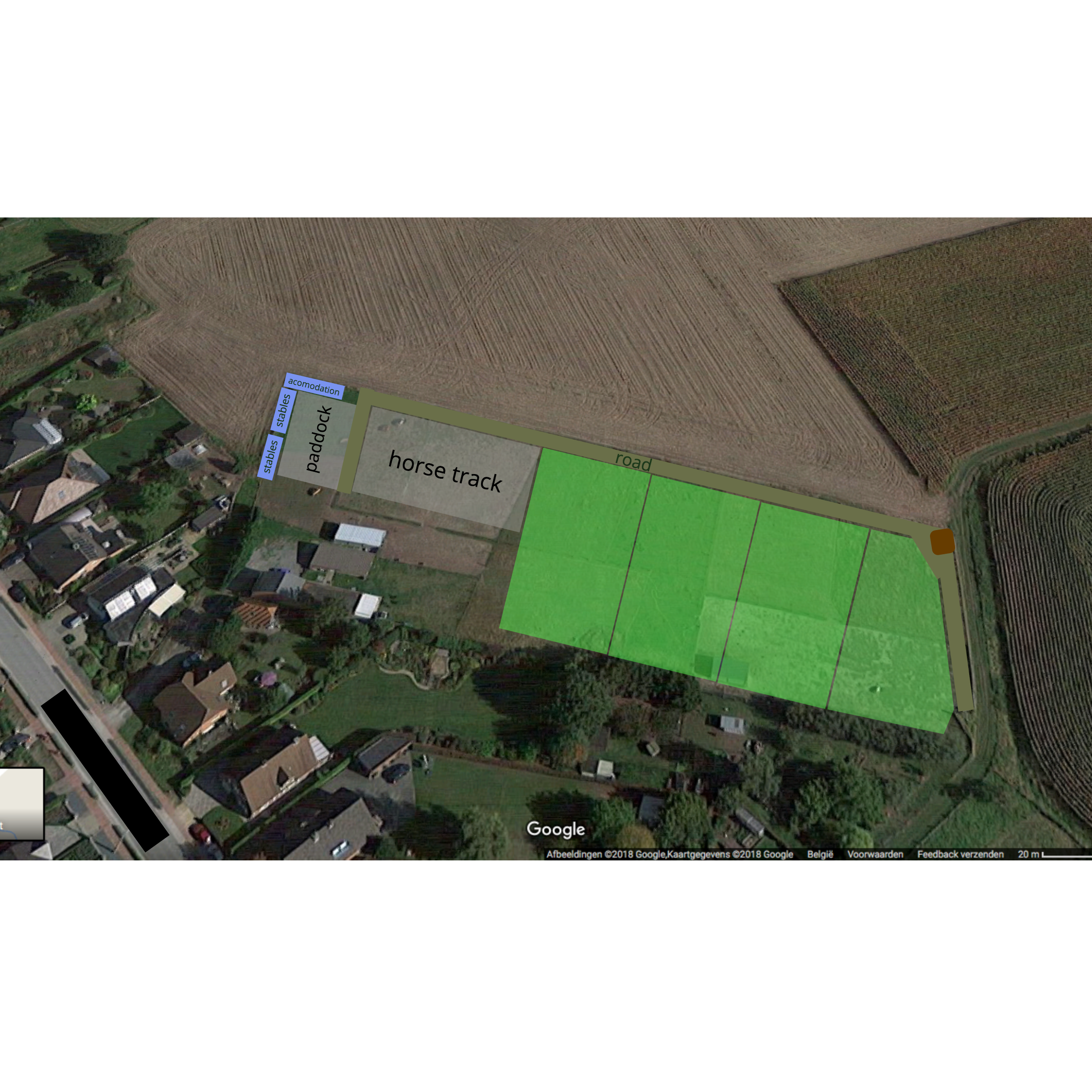 The Property 