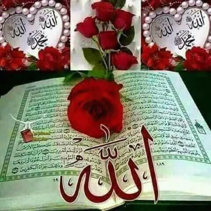 Quran Images With Flowers - f5noworld