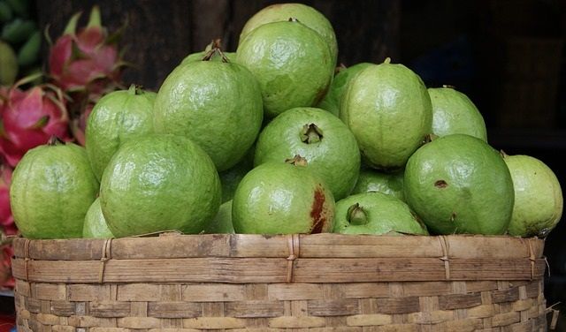 guava-1796858_640.jpg
