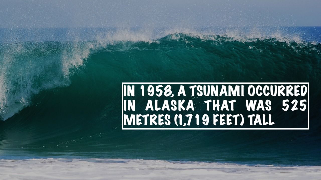 Tsunami.jpg