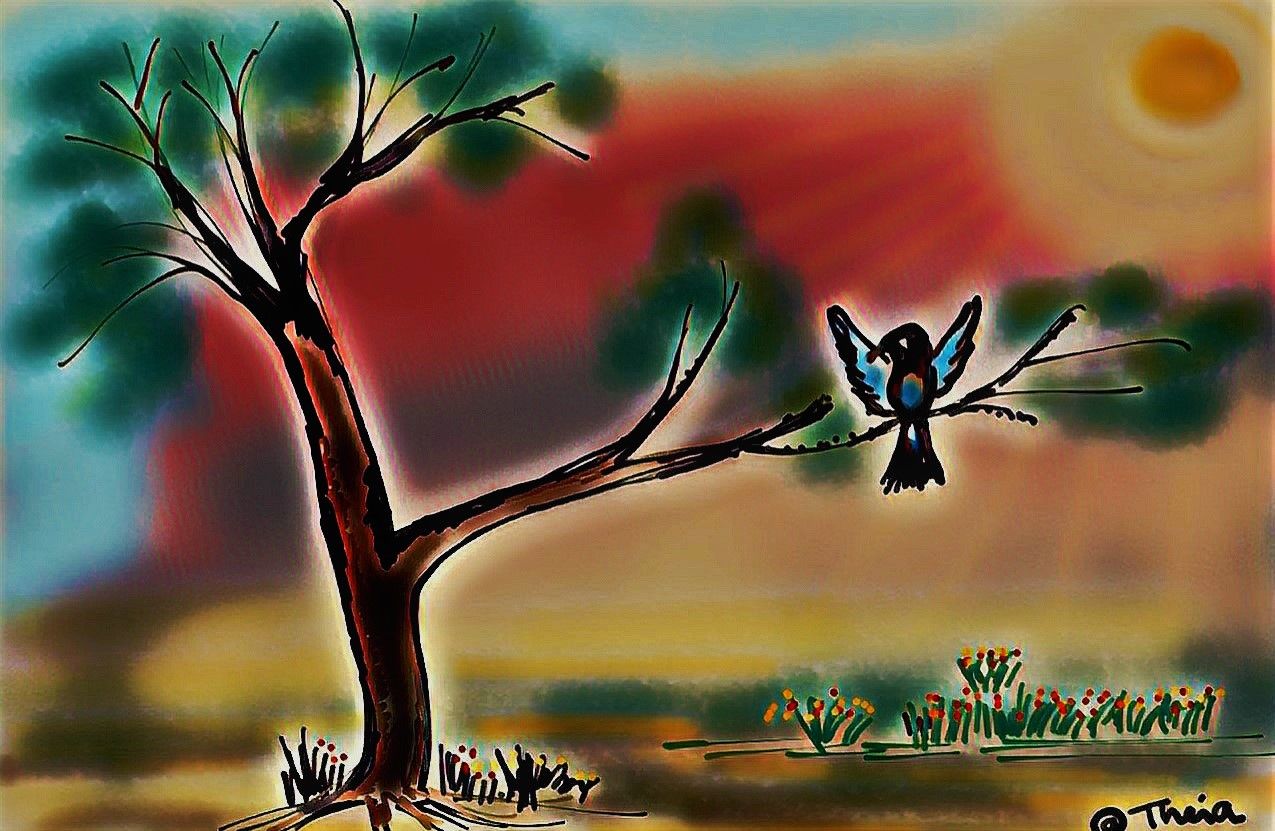 Bird_on_tree.jpg