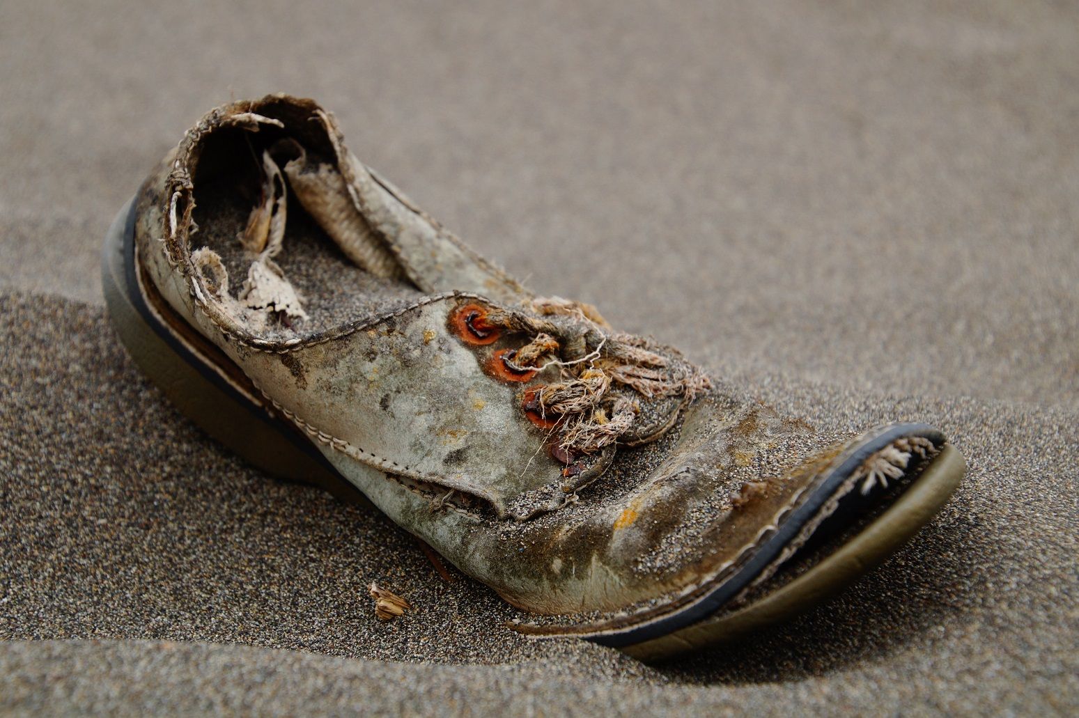 Well Worn Shoes — Steemit