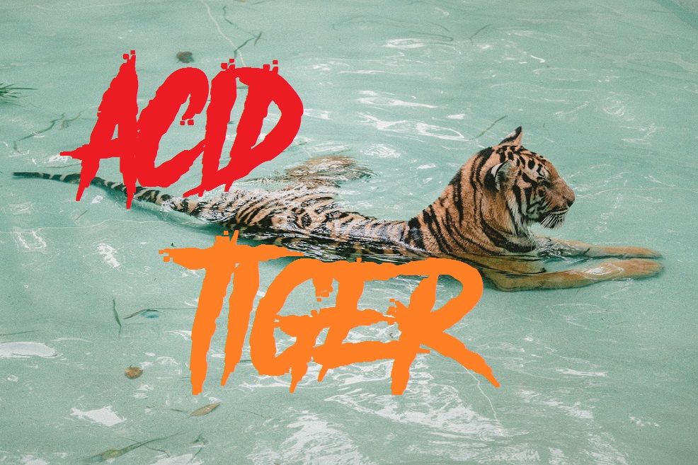 acid tiger.jpg
