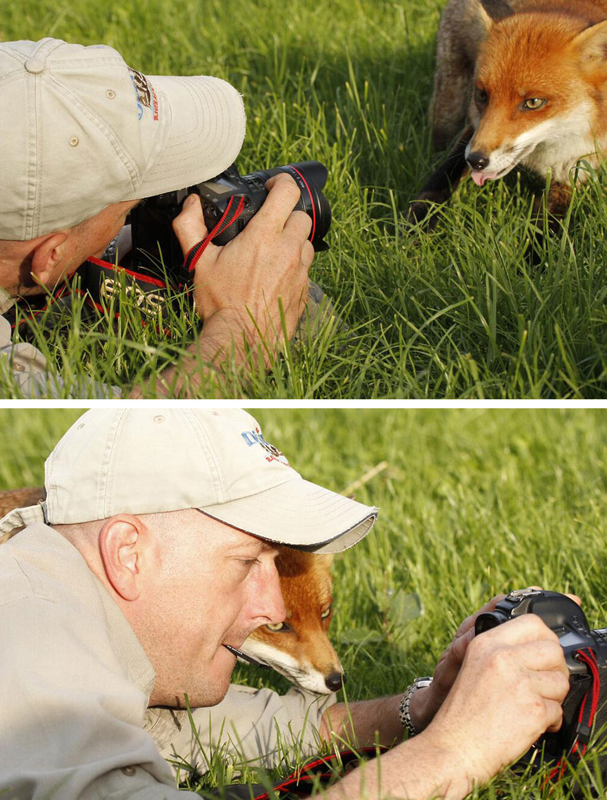 animals-with-camera-helping-photographers-31__880.jpg