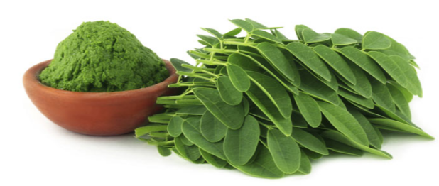 moringa natural foto.png