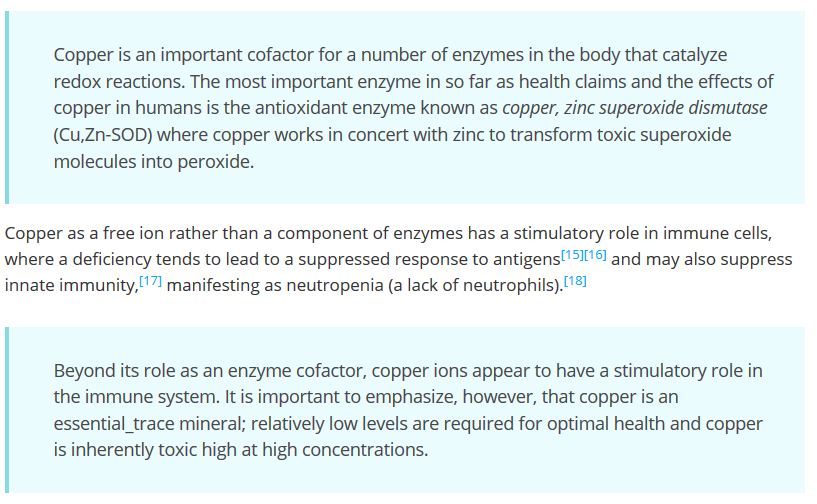 copper cautions examine.JPG