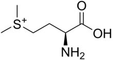 220px-Methylmethionine.png