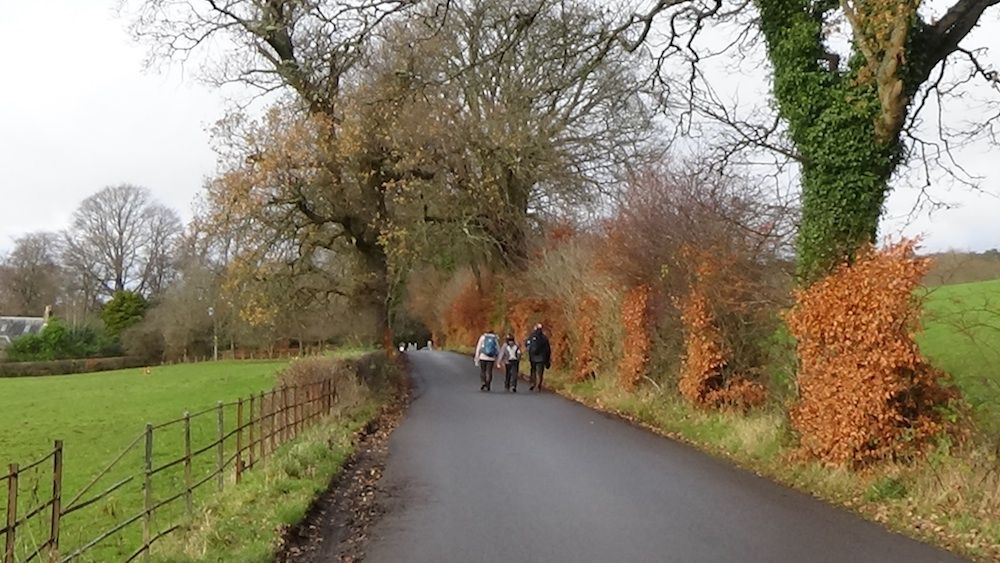 Walking back towards Overtoun House, autumn colours.jpg